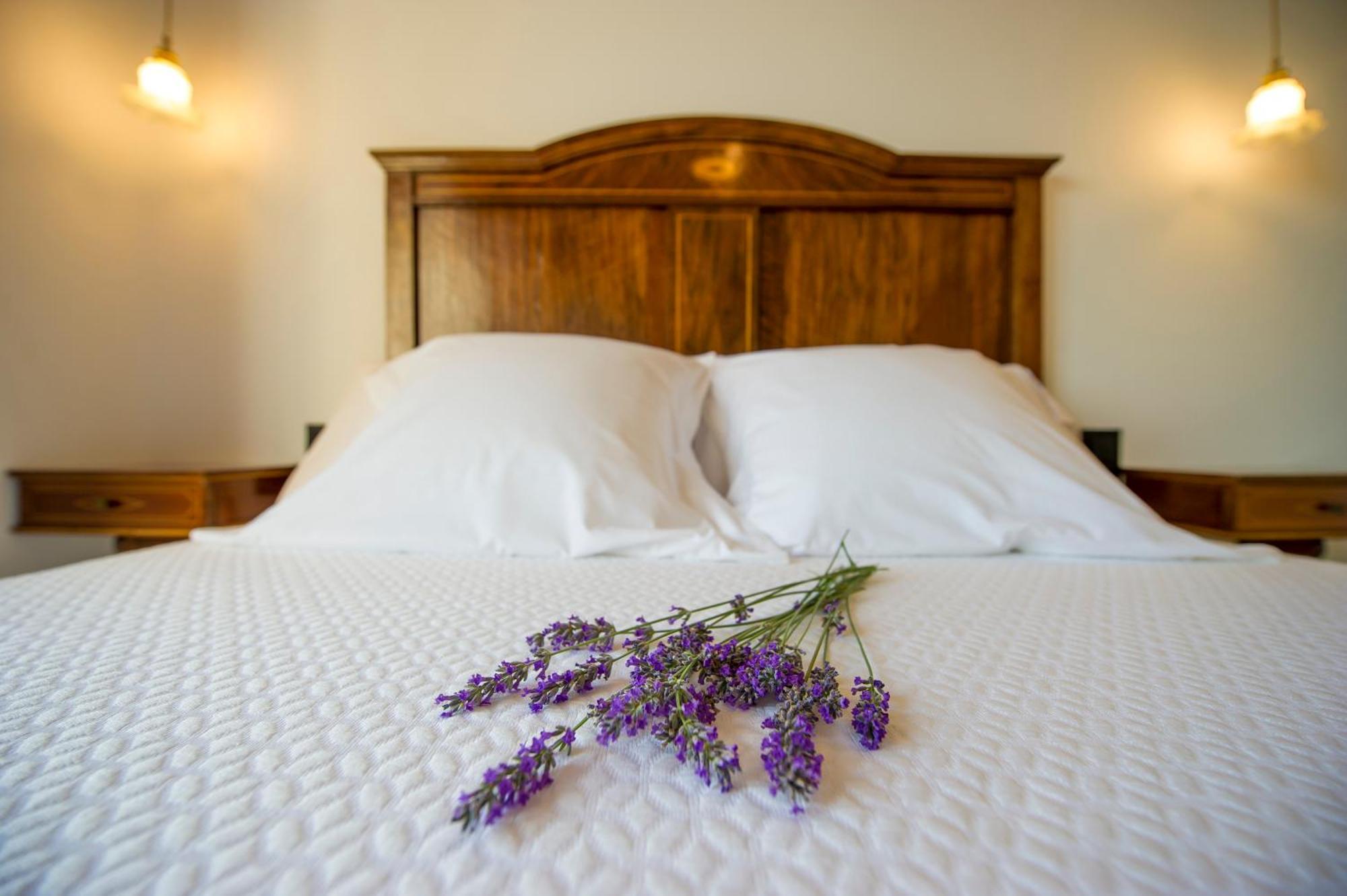 Bolet Casa Modernista Bed & Breakfast Castellvi de la Marca Exterior foto