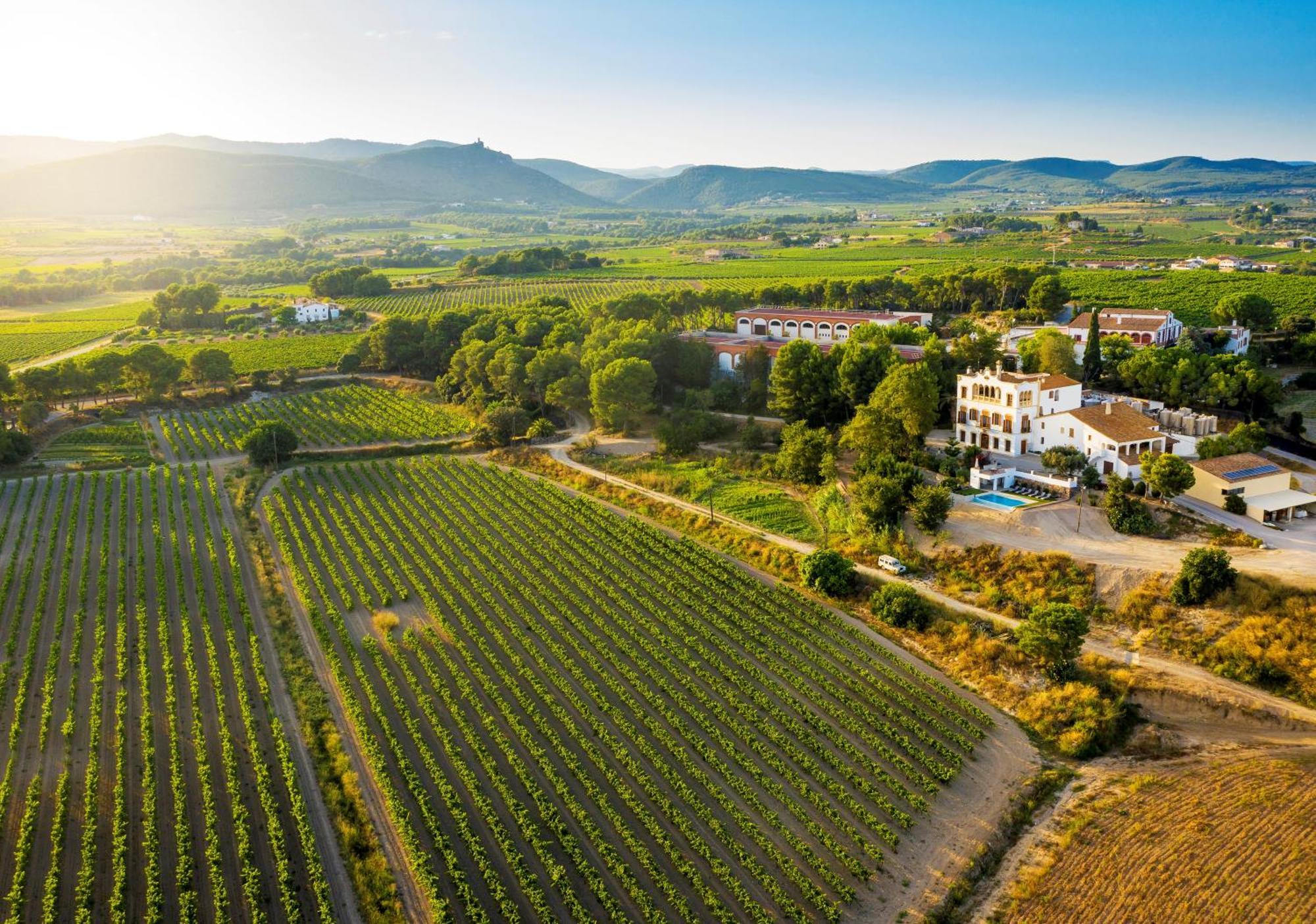 Bolet Casa Modernista Bed & Breakfast Castellvi de la Marca Exterior foto