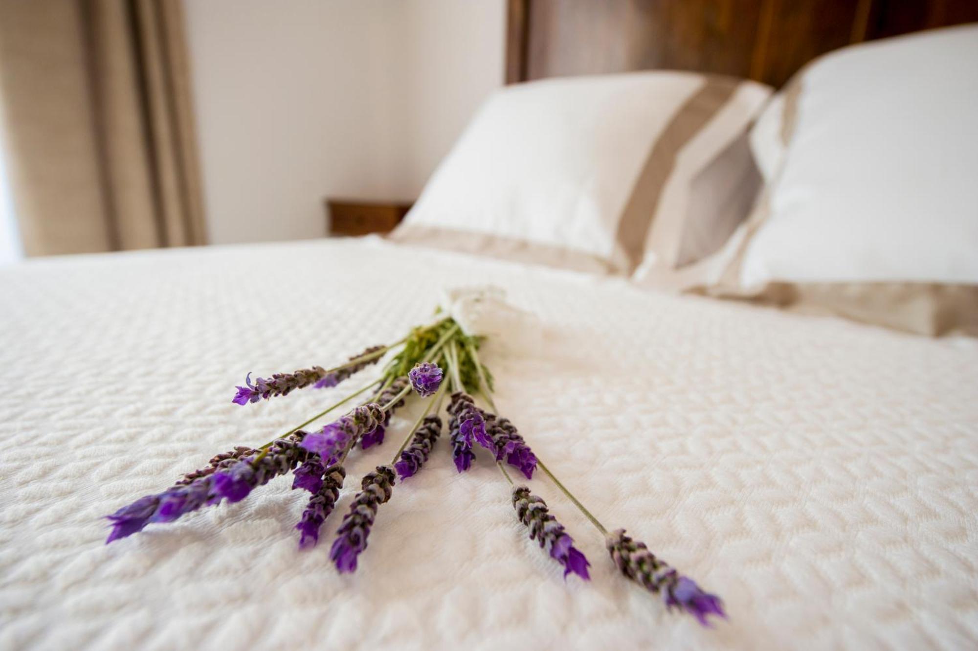 Bolet Casa Modernista Bed & Breakfast Castellvi de la Marca Exterior foto